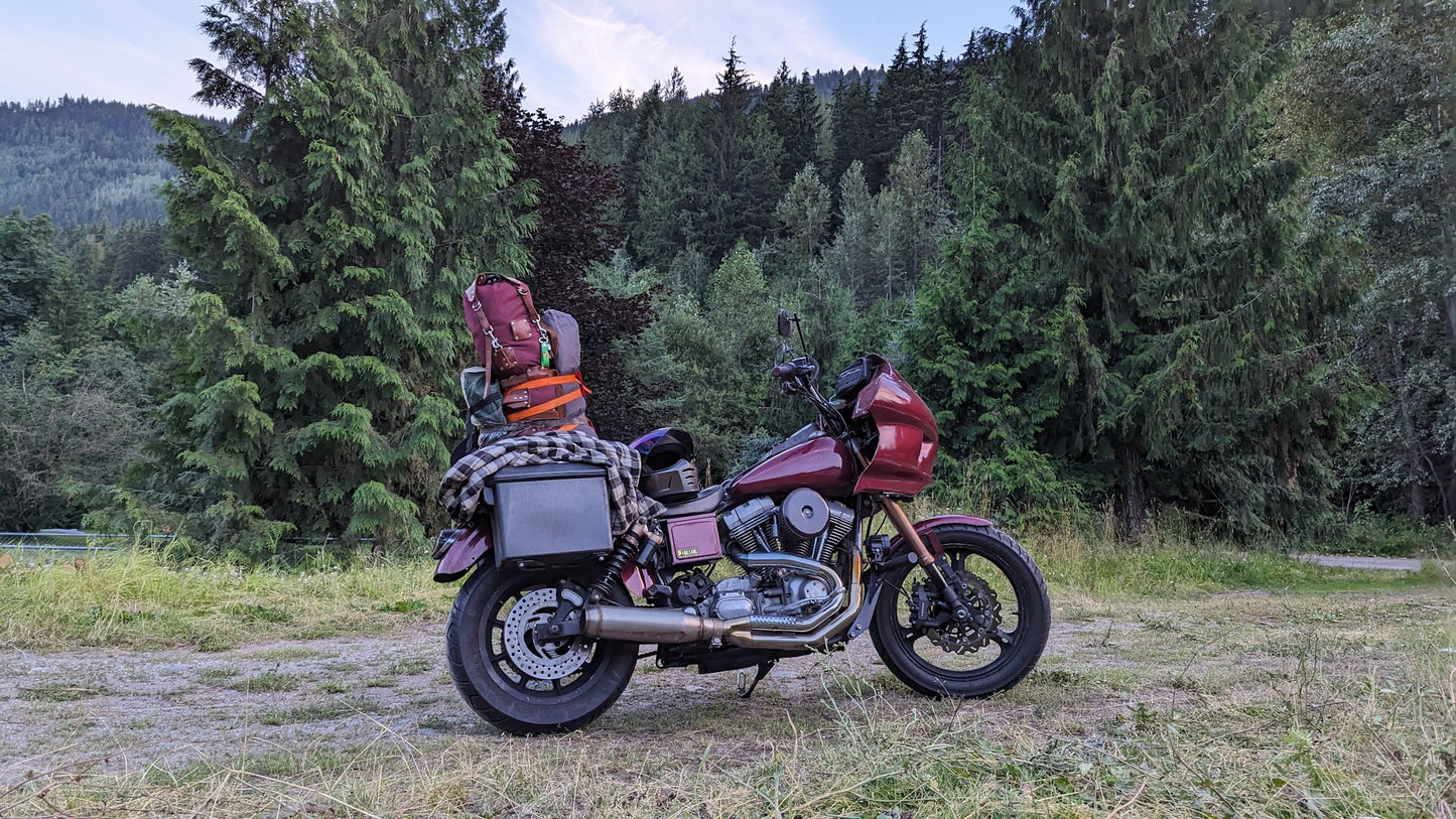 Harley Davidson Dyna pelican saddle bag bracket DXF download