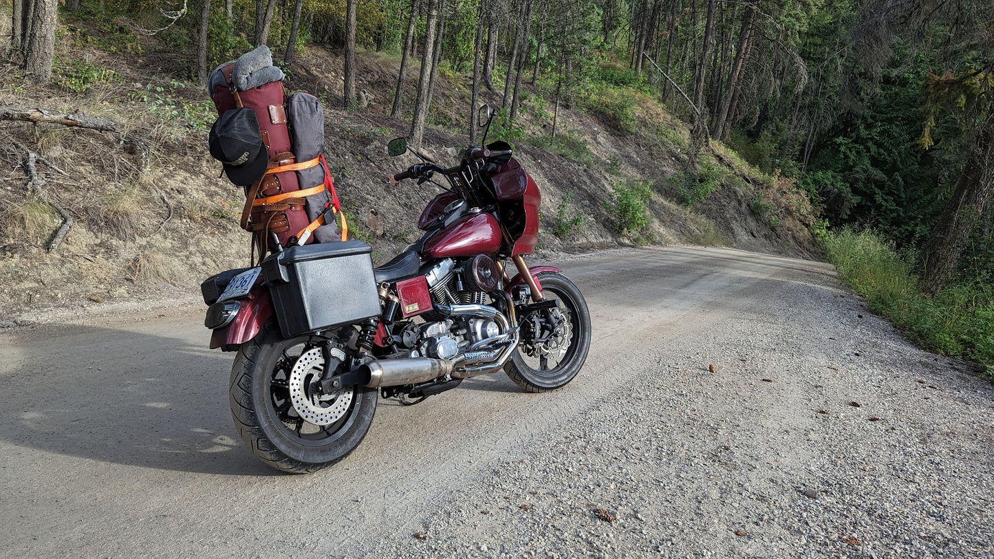 Harley Davidson Dyna pelican saddle bag bracket DXF download